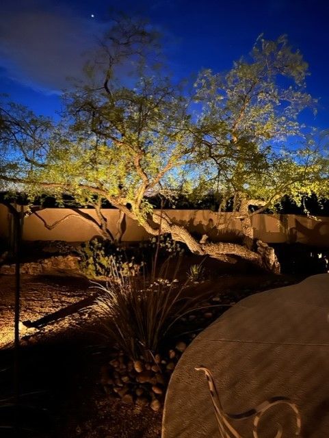 Large tree illuminated at night with garden lights, against a dark blue sky.