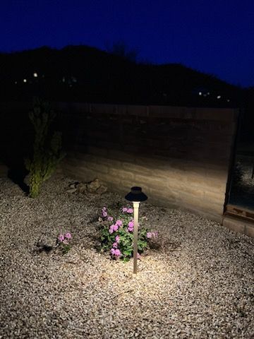 Solar-powered garden light illuminates pink flowers in a gravel yard at night.