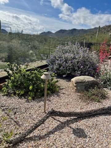 Desert landscape with varied cacti and plants, gravel ground, mountains in background, blue sky.