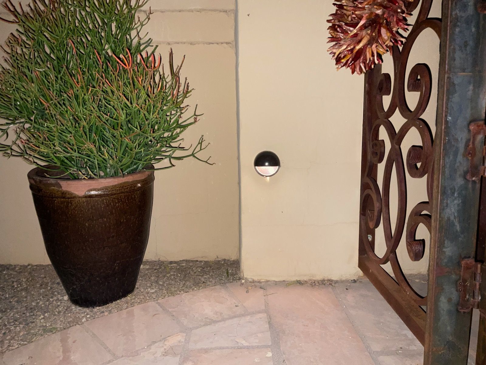 Potted green plant next to beige wall with round light and decorative metal gate.