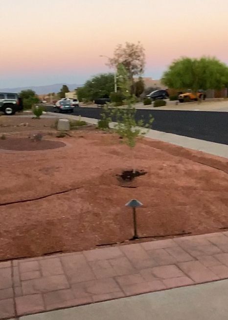 Residential street scene with brown mulch landscaping and small trees, under an evening sky.