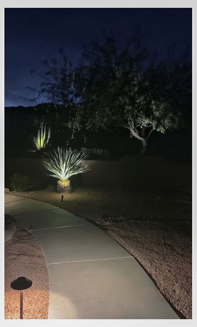 Pathway through a lit desert landscape at night, spotlighting plants and trees.