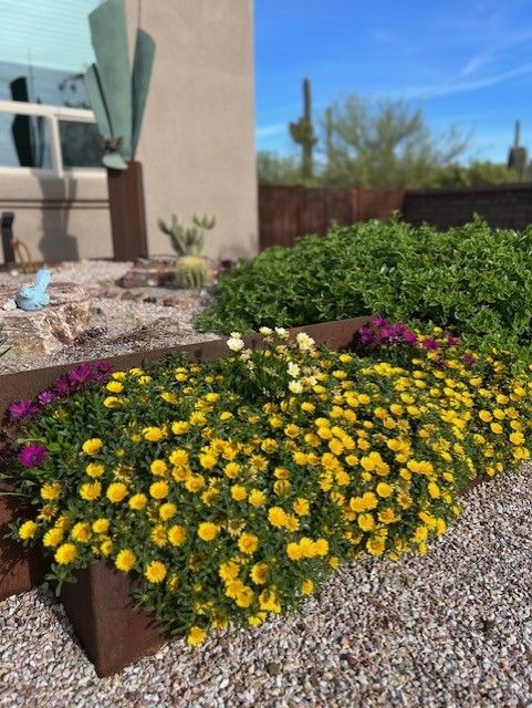 Flower bed with yellow and purple blooms, green bushes, and desert plants against a blue sky.