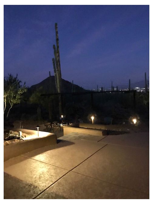 Night view of a desert landscape with illuminated pathway, saguaro cactus, and distant mountain.
