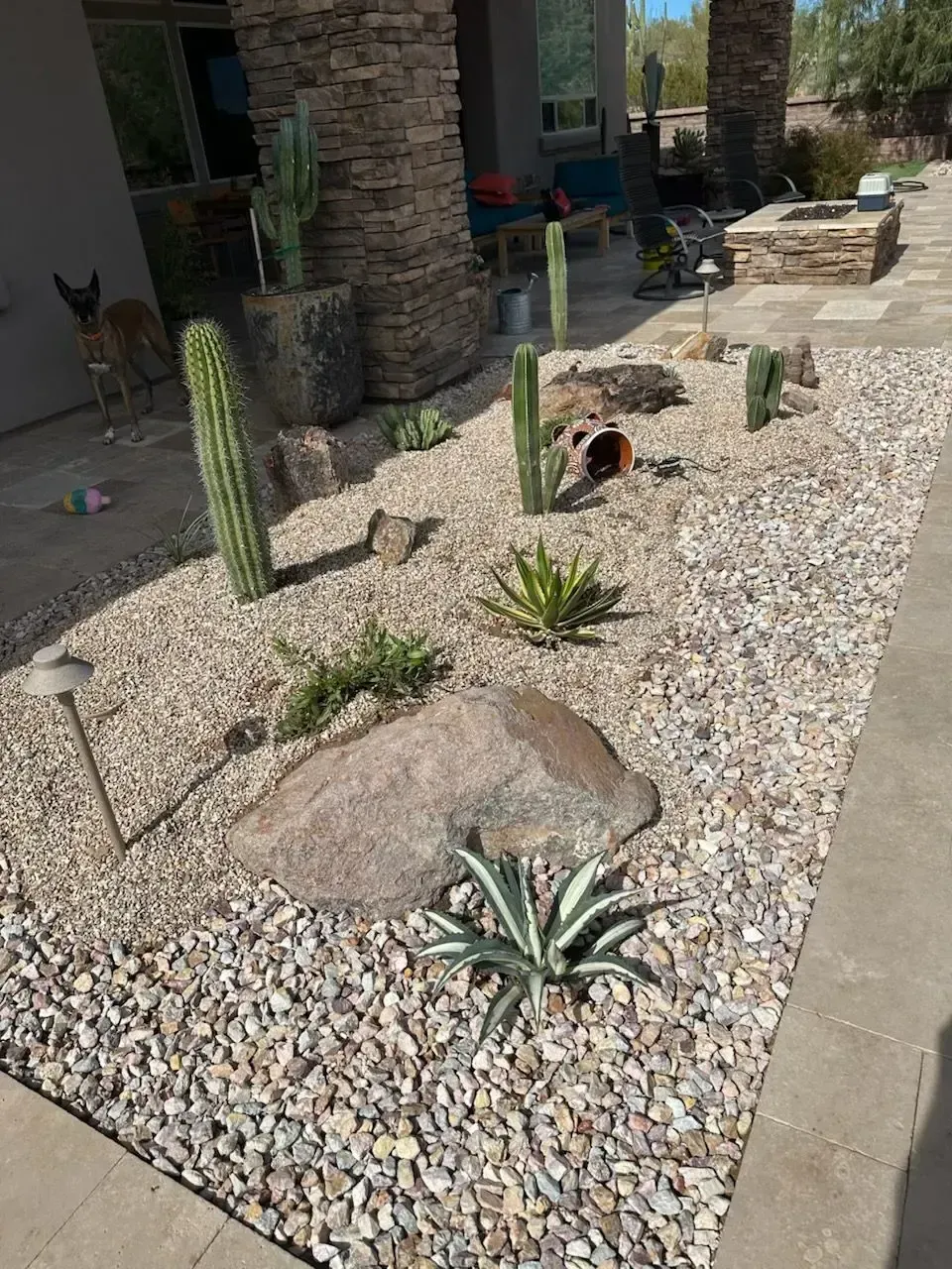 Desert landscape with cacti and agave plants in gravel bed next to a paved patio.