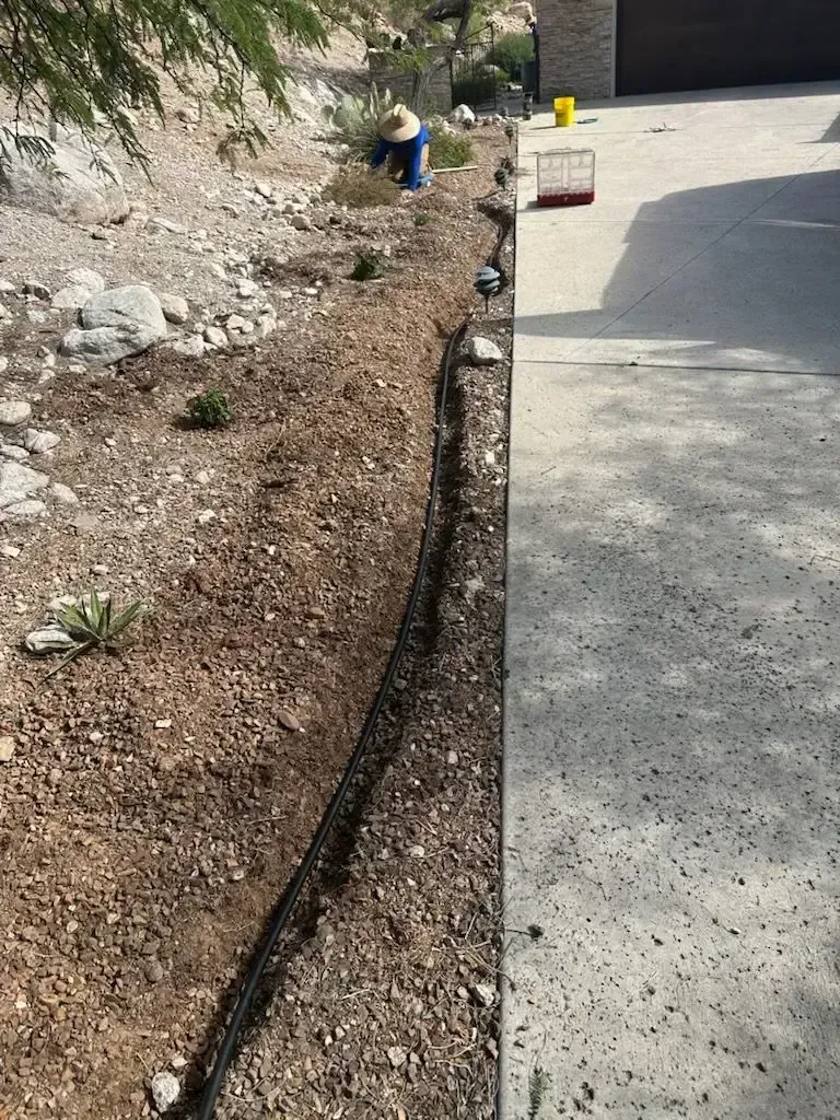 A person tends a long, narrow garden bed next to a concrete driveway.