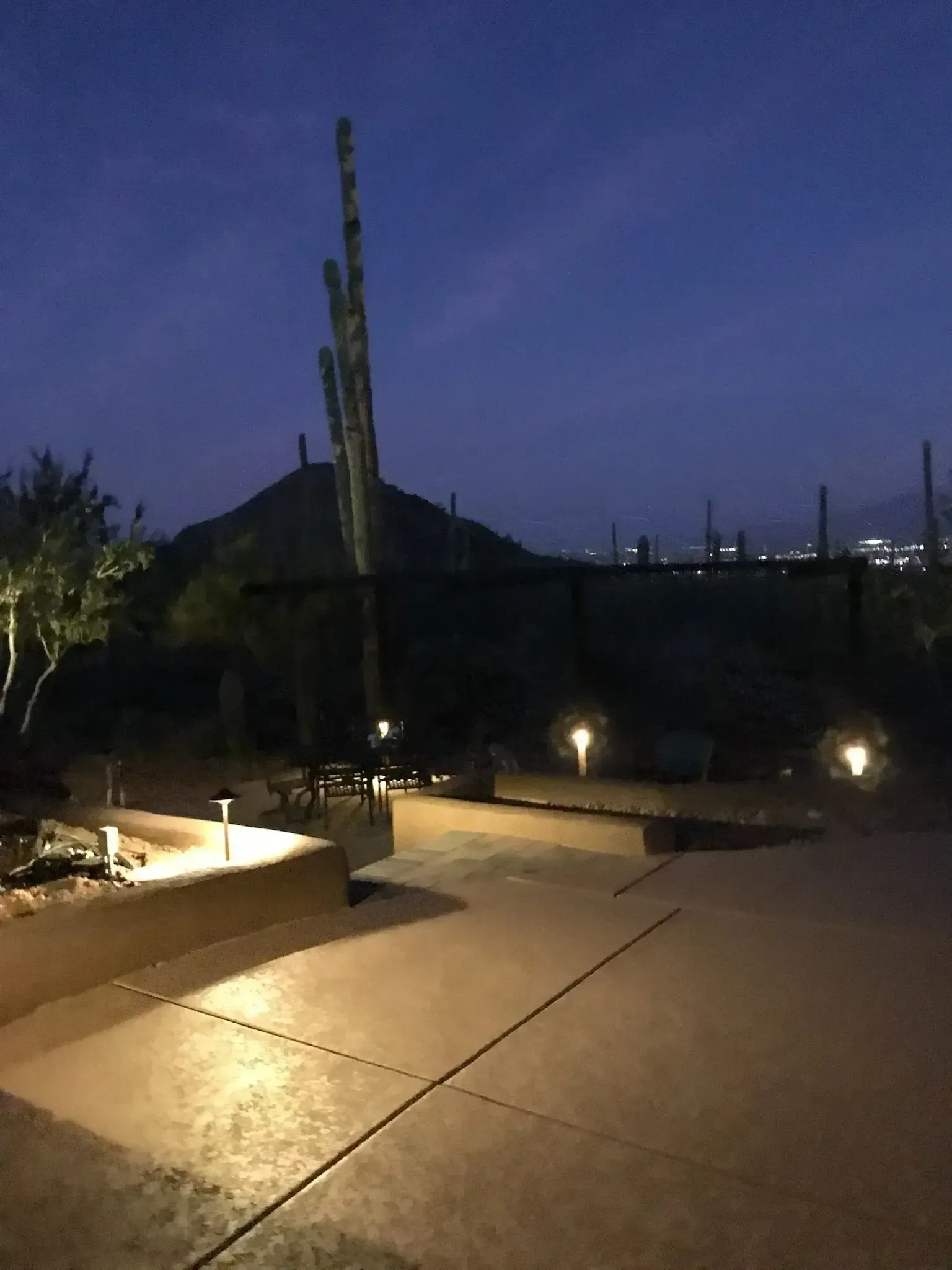 Pathway illuminated at night, leading to a dark hill with a saguaro cactus, against a dusky sky.