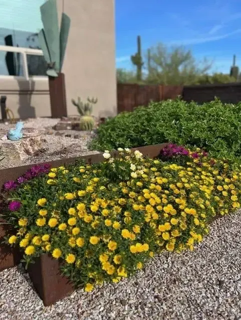 Yellow and purple flowering plants in a raised bed, with a turquoise sculpture and cactus in the background.
