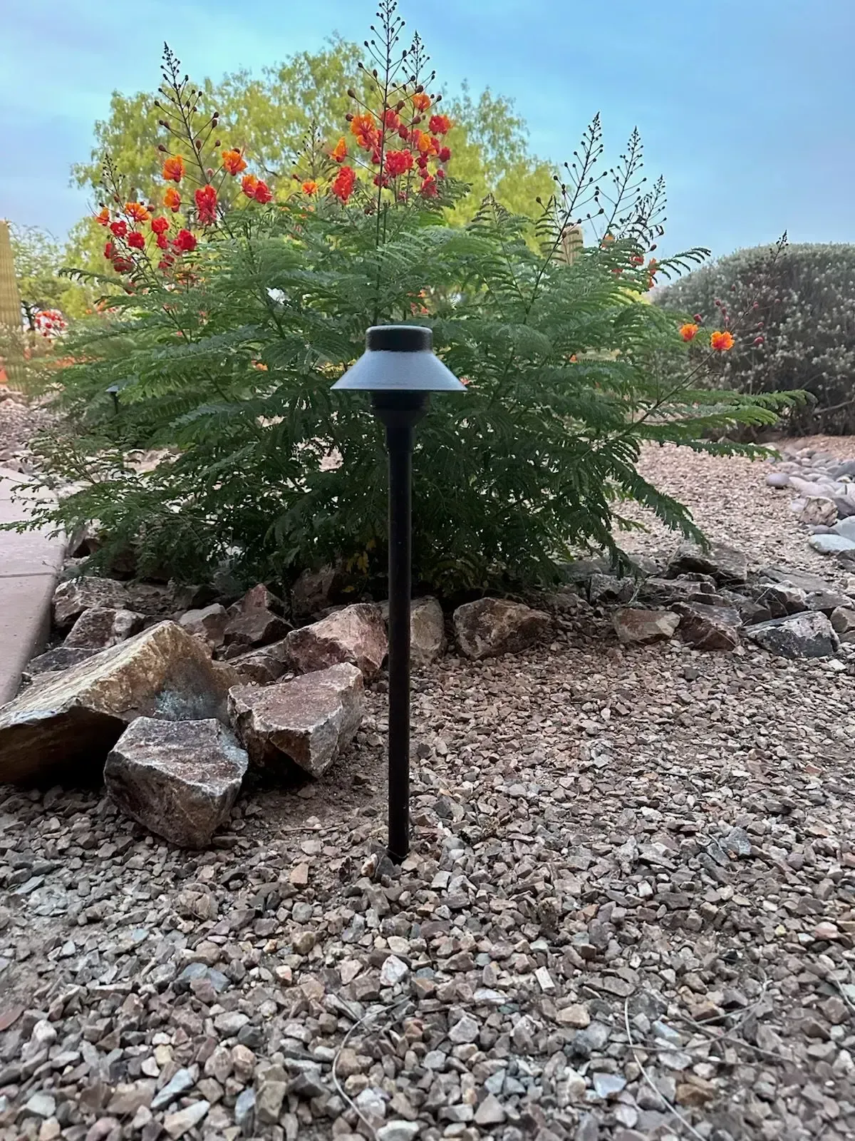 Landscape lighting in front of flowering bush, surrounded by rocks and gravel.