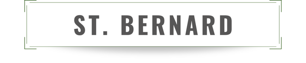 Saint Bernard parish survey