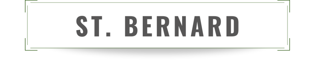 St. Bernard Giving Tuesday