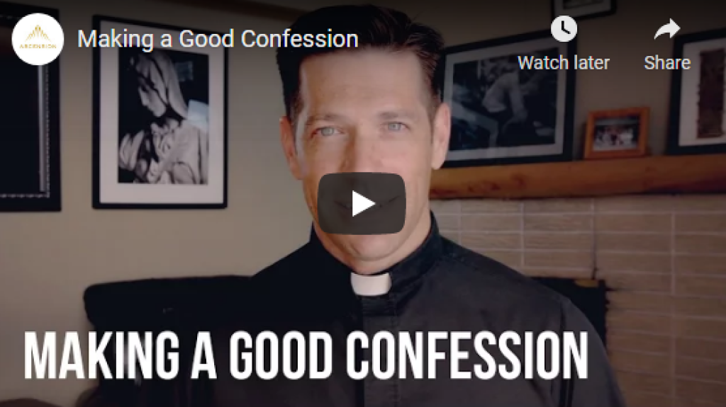 making a good confession by fr mike