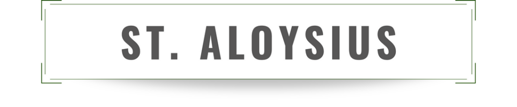 Saint Aloysius parish survey