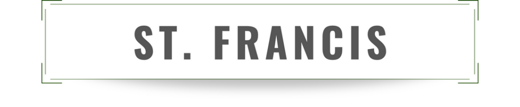 Saint Francis parish survey