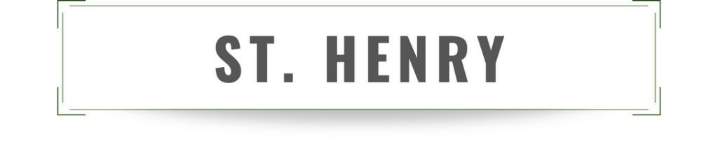 Saint Henry parish survey