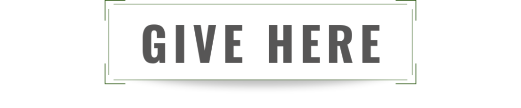 Online Giving Portal