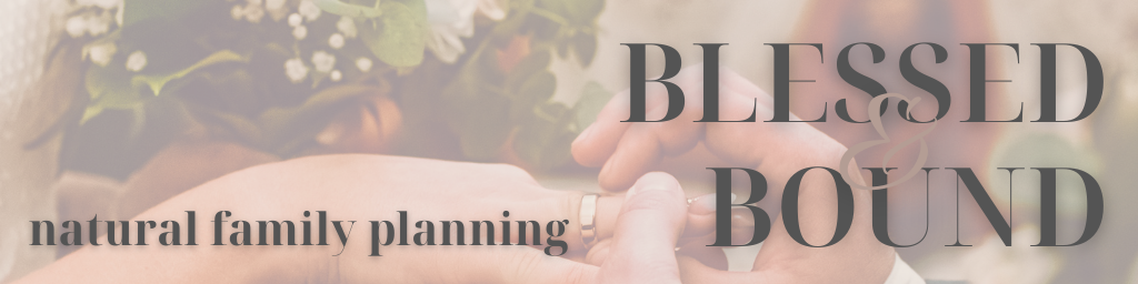 natural family planning, catholic marriage preparation, blessed and bound