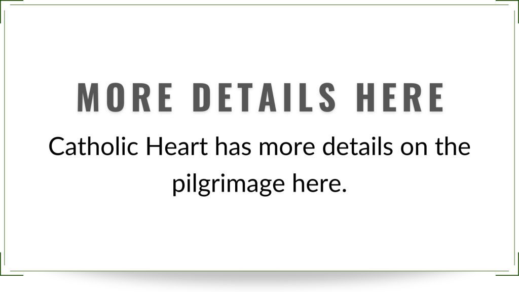 catholic heart work camp rome & assisi pilgrimage youth group 2025