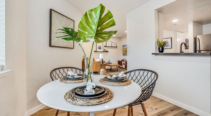 Dining room with a white table, black chairs, and a large tropical plant centerpiece.