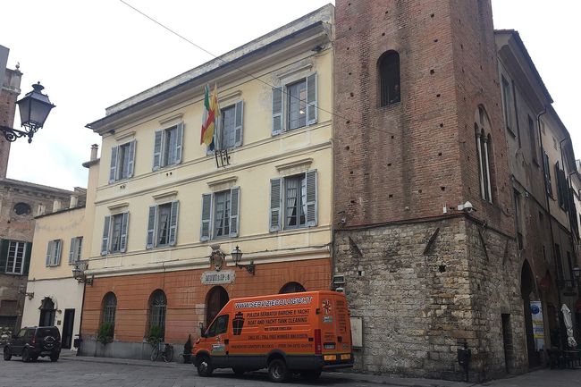 allontanamento volatili