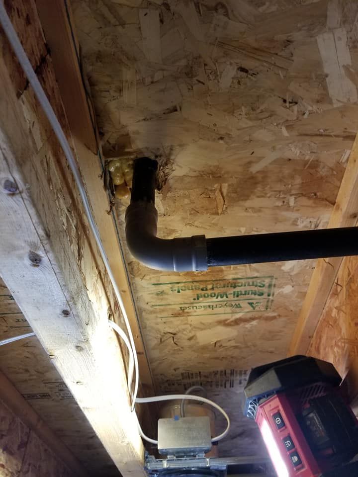 Exposed pipe and wiring in unfinished plywood ceiling, with a red power tool below.