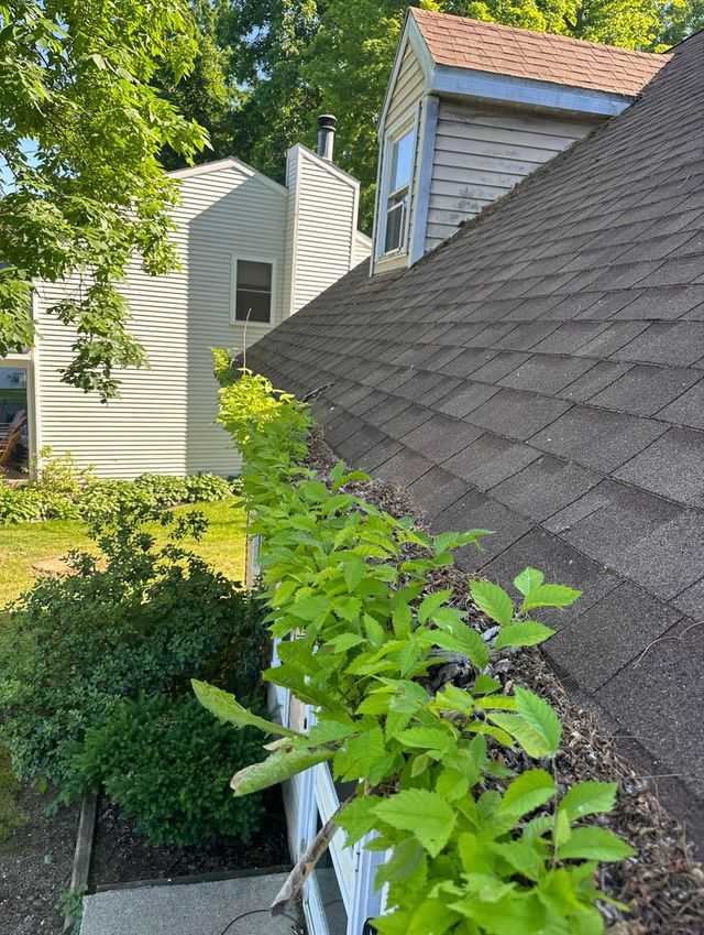 A roof with a lot of leaves on it and a house in the background.