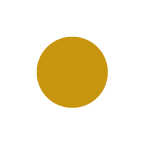 Gold circle on a white background