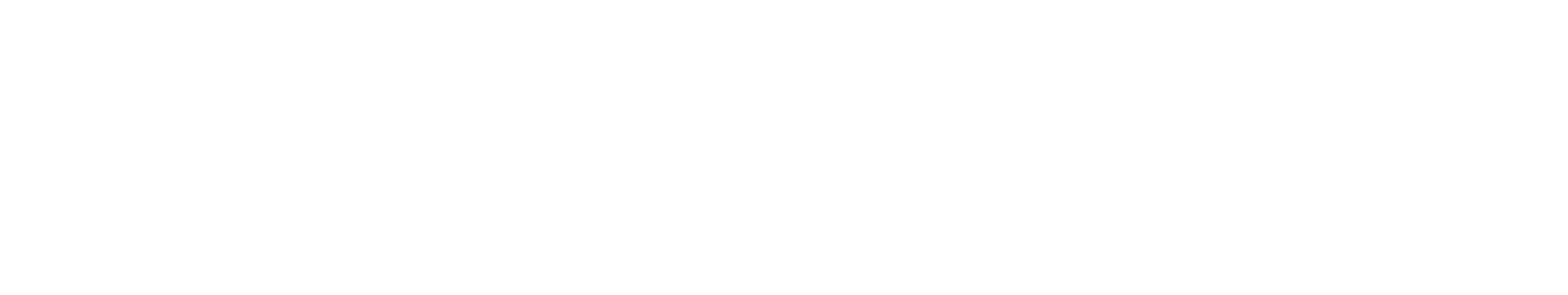 Company Logo - Footer