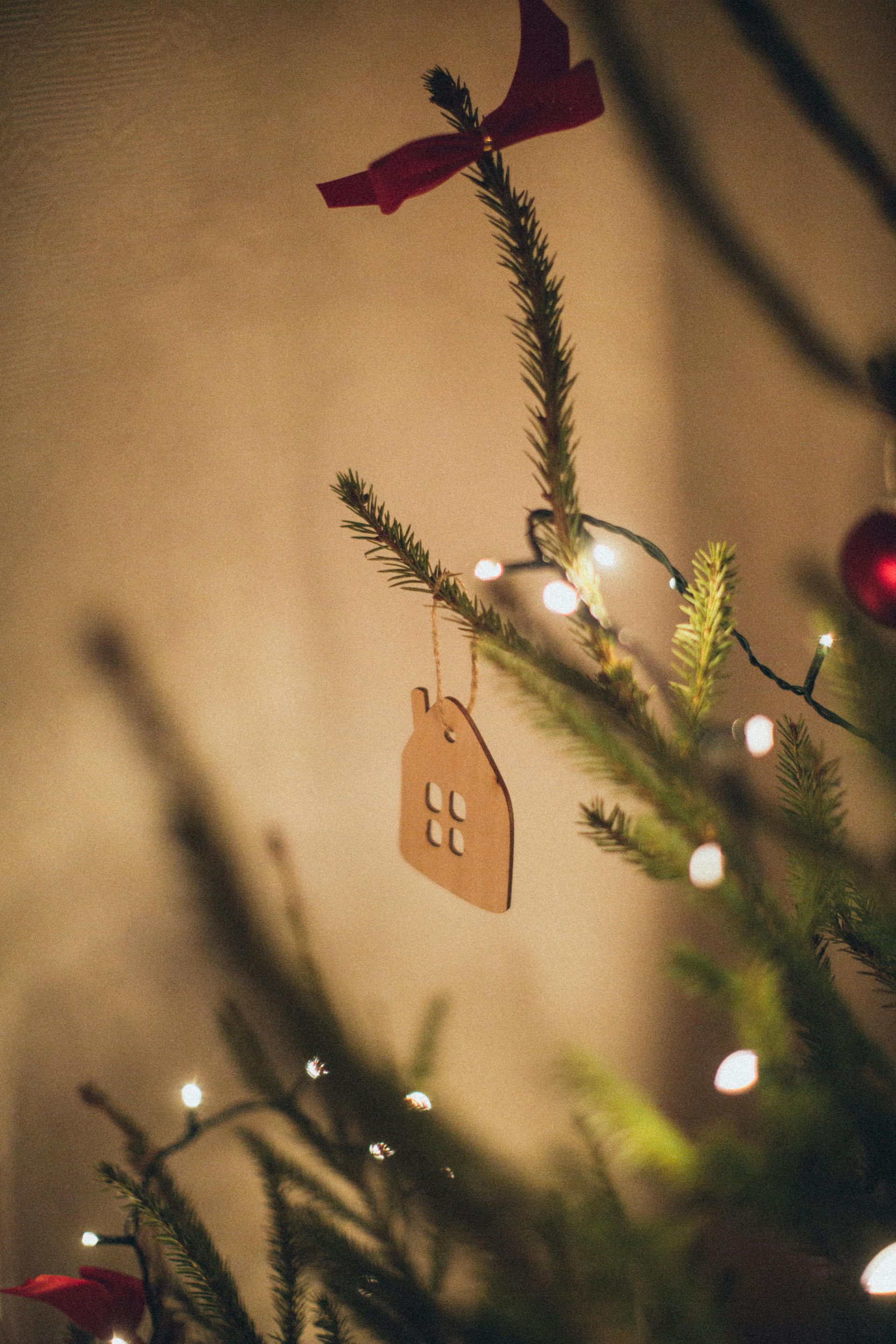 Christmas tree home