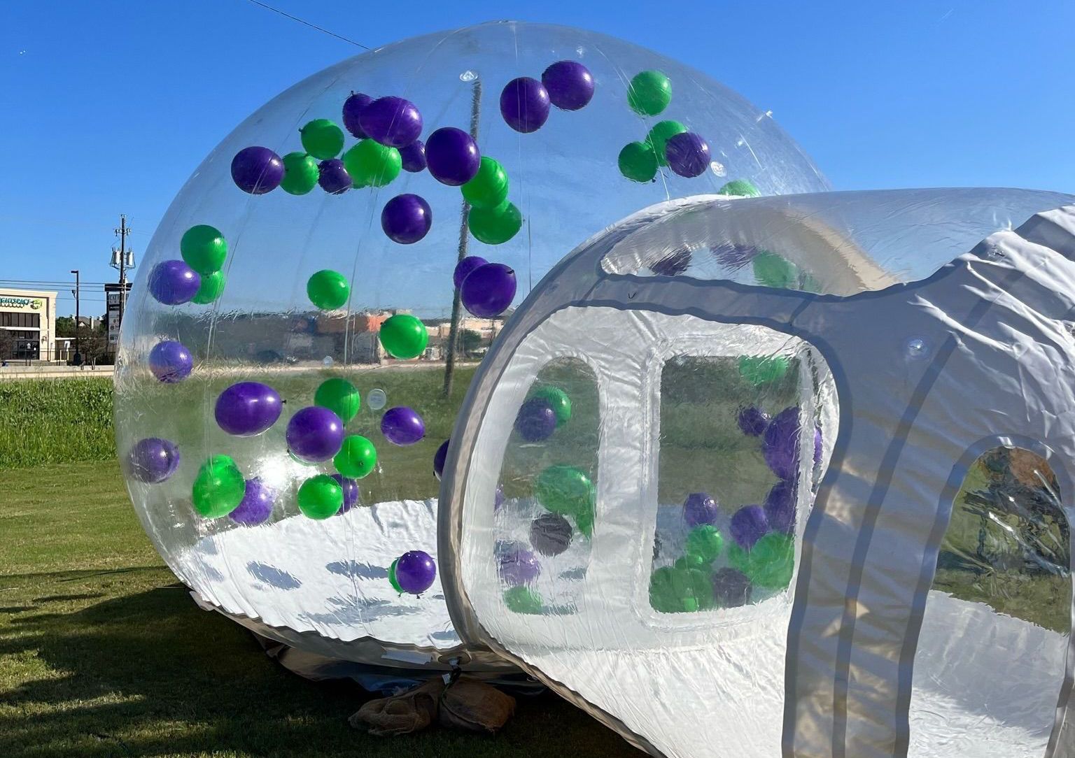 Two inflatable balls with purple , green and white balloons inside of them are sitting on the grass.