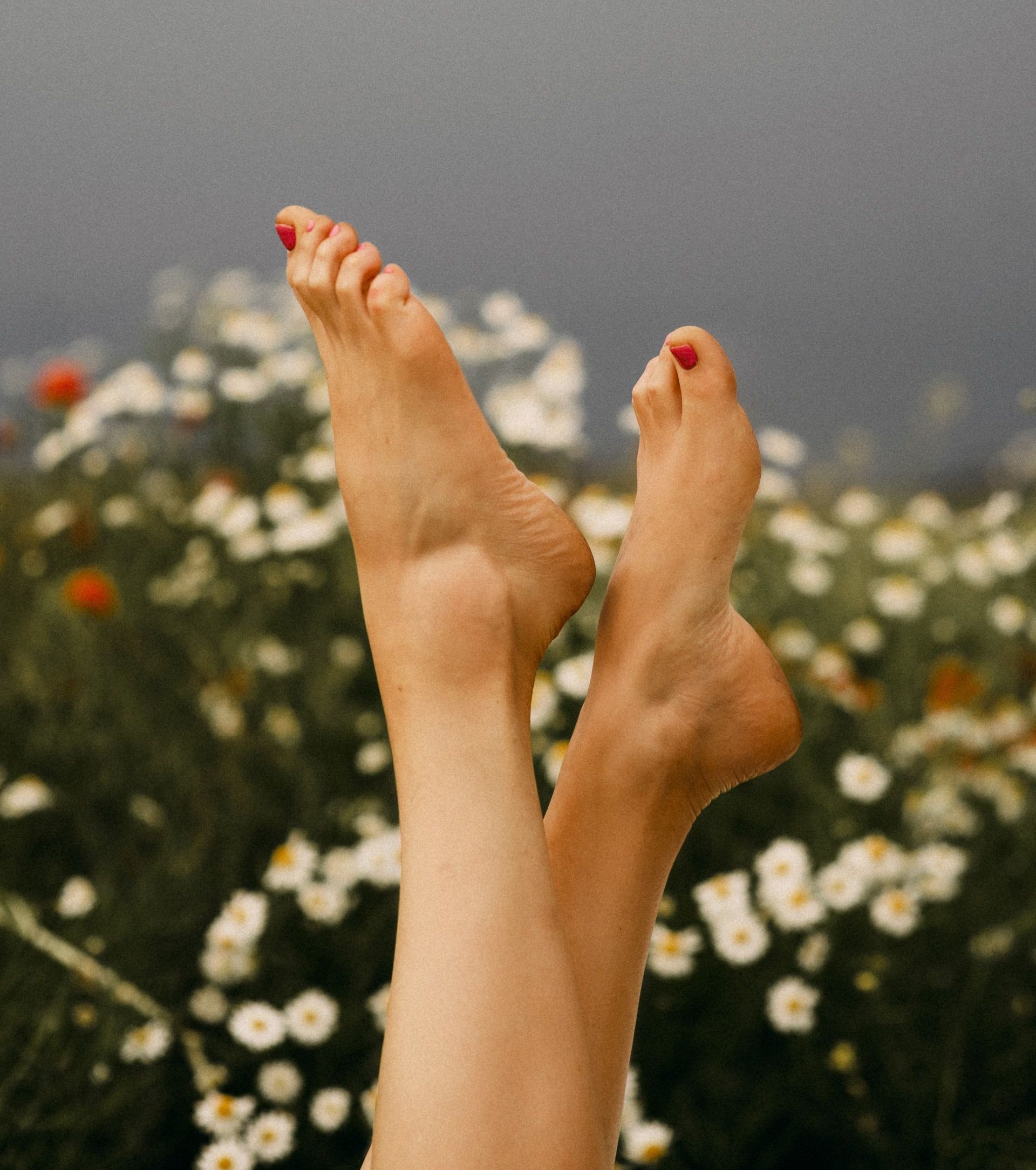 Blote voeten met rode teennagels tegen een achtergrond van madeliefjes en een bewolkte lucht.