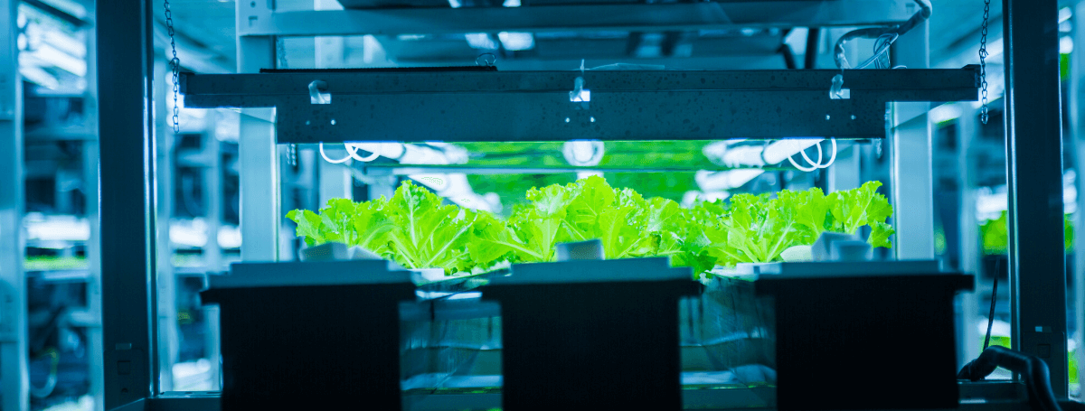 Food Technology 2023 bezoeken? Tickets, kosten en informatie