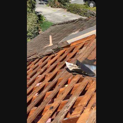 View of exposed roof rafters during repair, asphalt shingles removed.