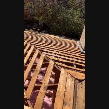 Wooden roof frame with insulation visible, viewed from above, surrounded by foliage.