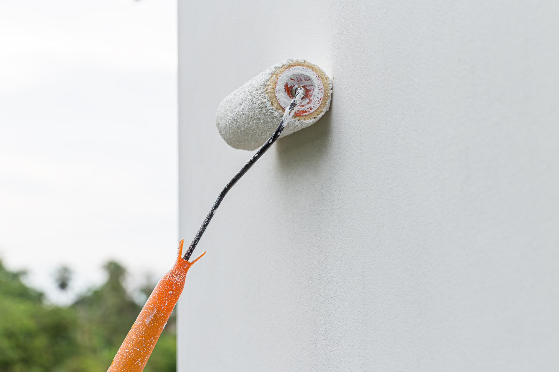 Five Star Popcorn Removal LLC