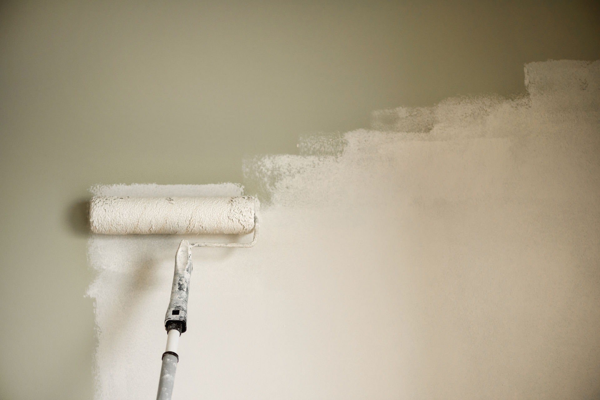 Five Star Popcorn Removal LLC