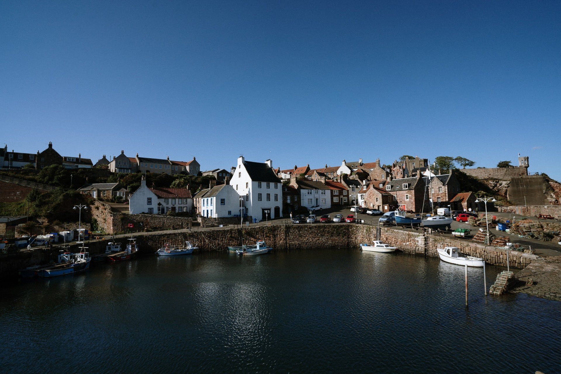 A harbor with boats and buildings in the background