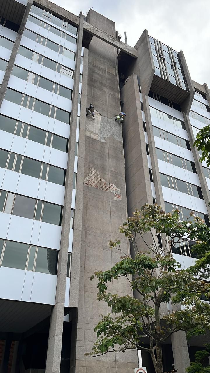 Um prédio alto com muitas janelas e uma árvore na frente.
