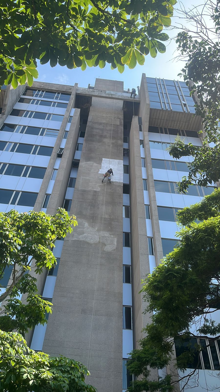 Um edifício alto com muitas janelas cercado por árvores.