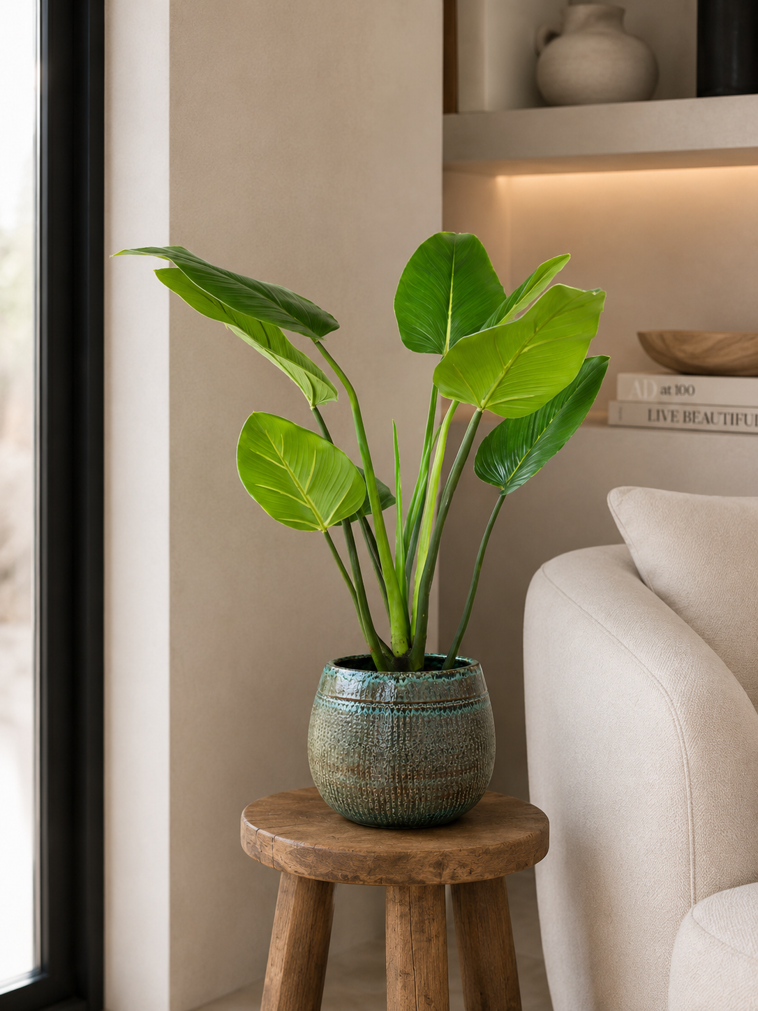 Alocasia Plant 90 cm