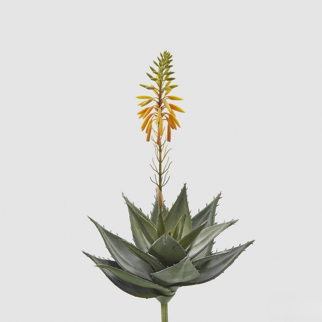 Aloe Vera Succulent steker 36 cm