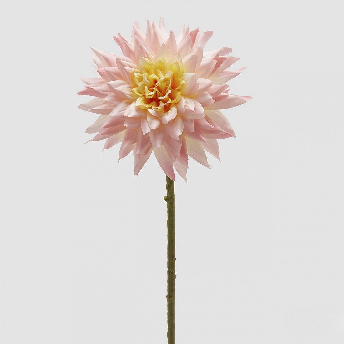Dahlia light pink / yellow - 65 cm