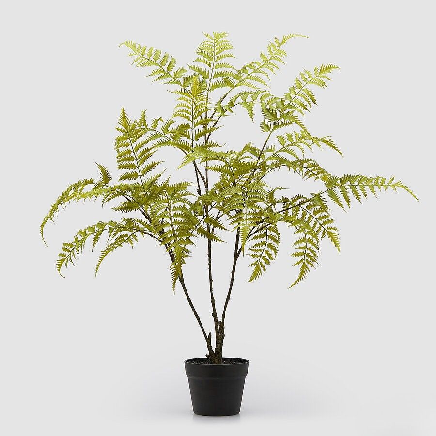 Varen plant 110 cm