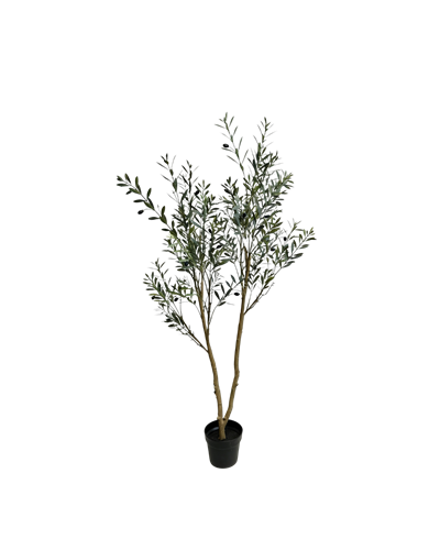 Olive tree 120 cm - UV resistant (available from 20/8)
