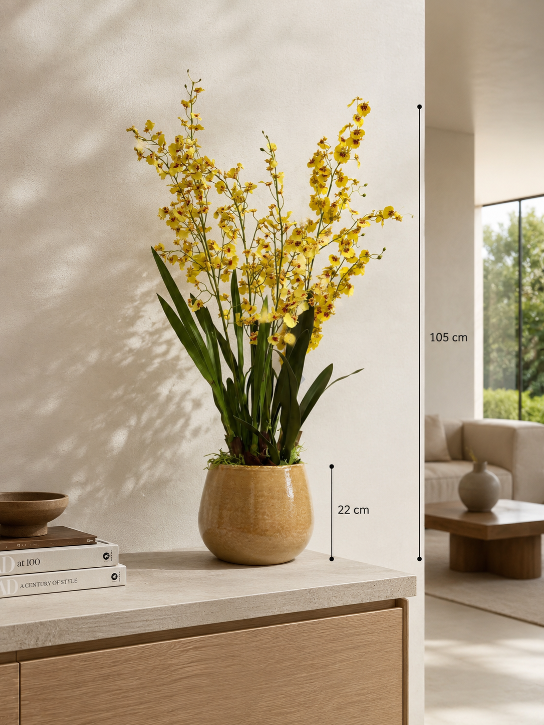 Sunny Orchid Glow