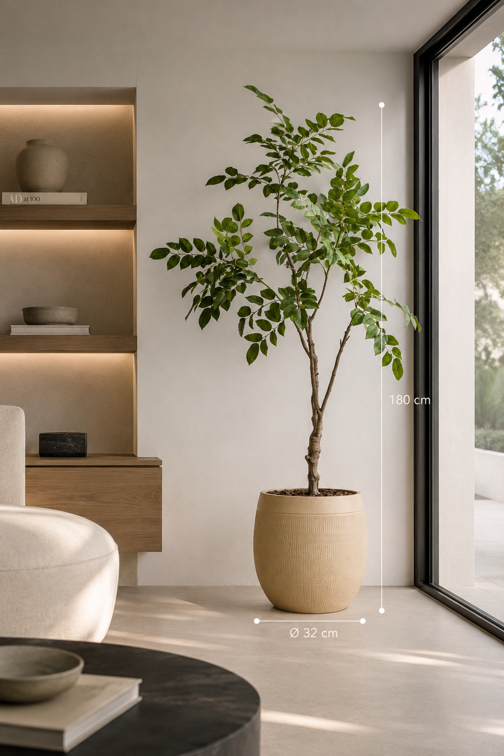 Sandalwood tree 180 cm
