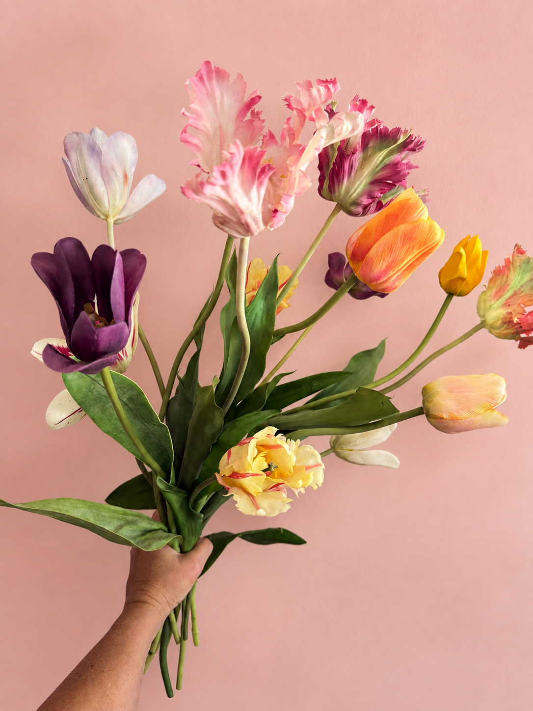 Tulip bouquet