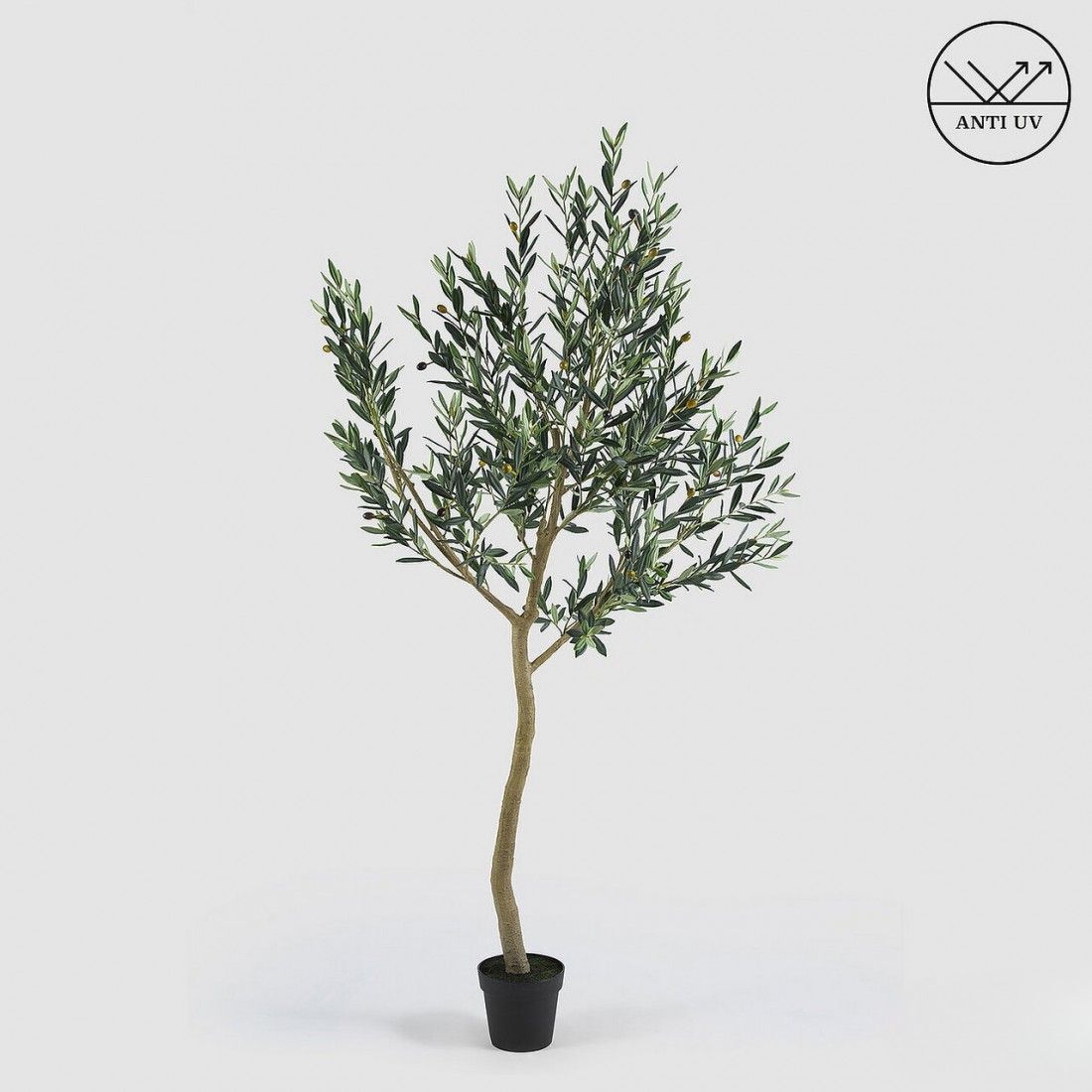 Olijfboom 200 cm - UV bestendig (Pre-order)