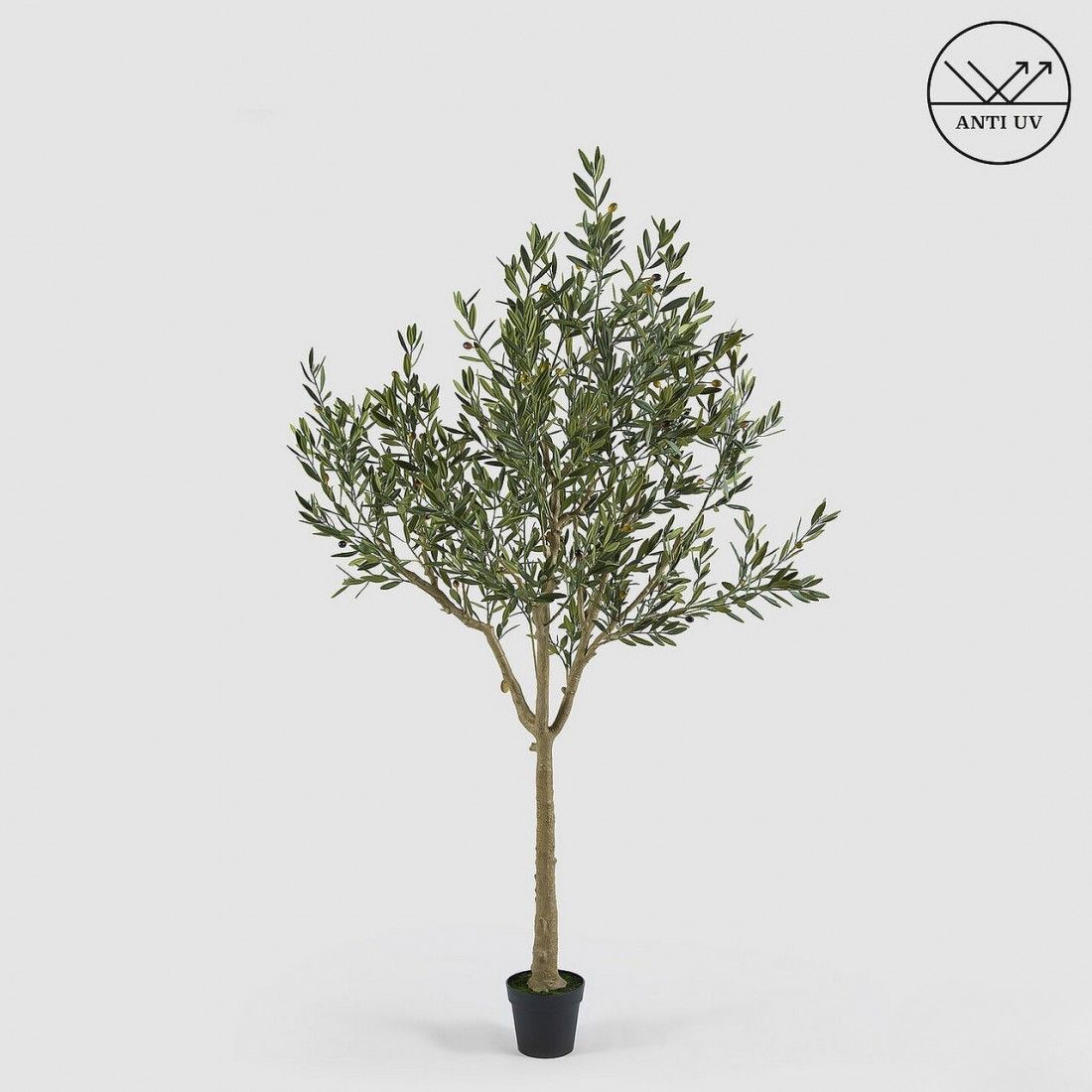 Olijfboom 208 cm - UV bestendig (Pre-order)