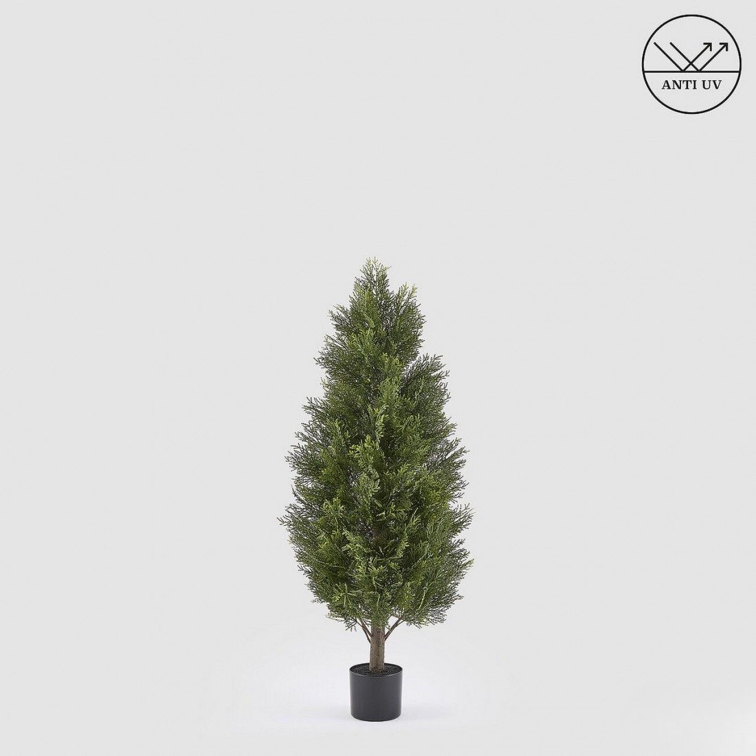 Cipres 120 cm - UV bestendig